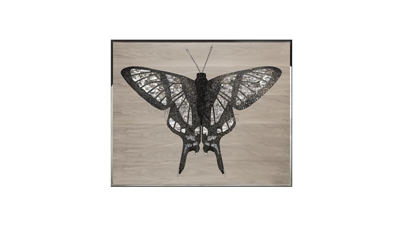 VISIONNAIREDanaus藝術畫